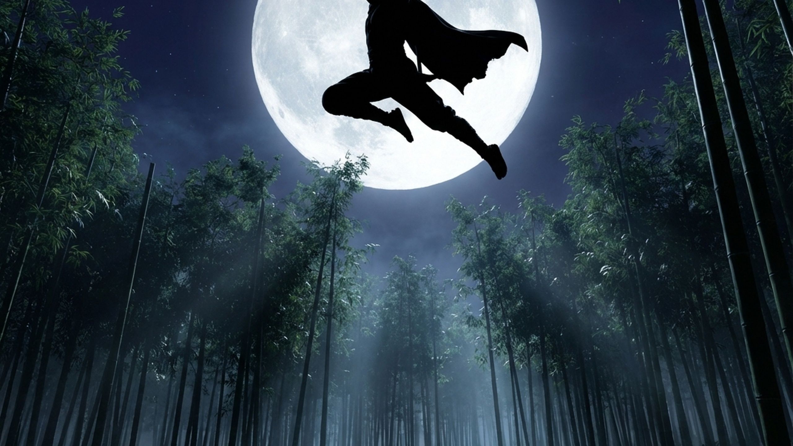 Assassin’s Creed Shadows Video