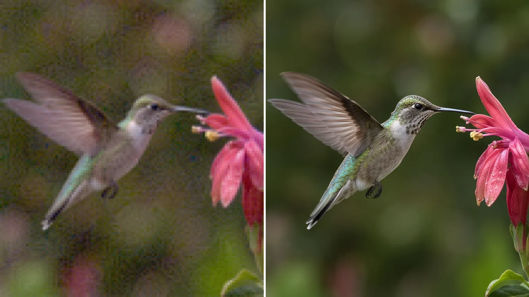 Upscale Low-Resolution Images