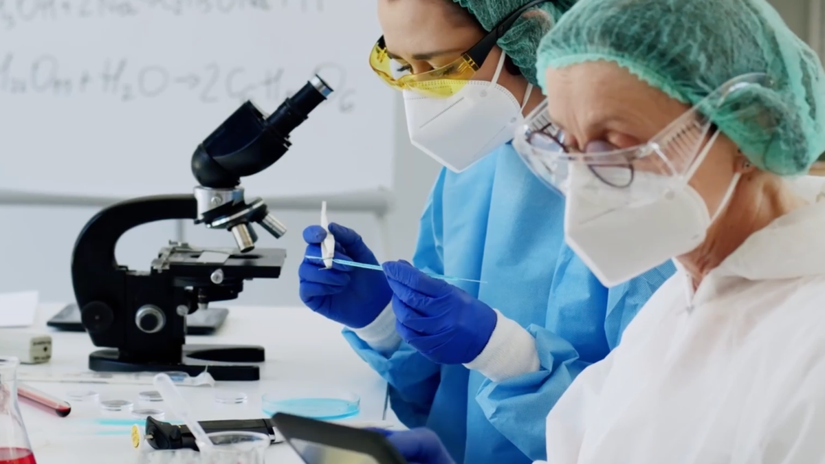 Use Stock Videos cover