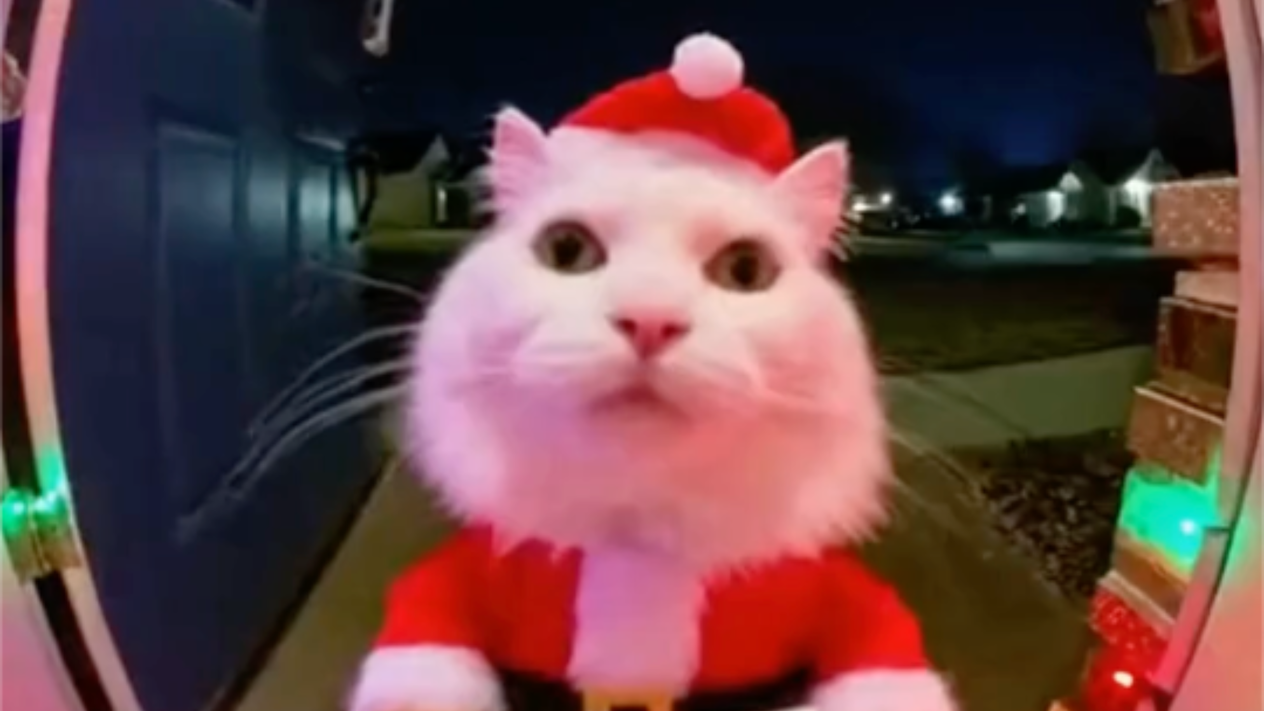 Ring Doorbell Footage