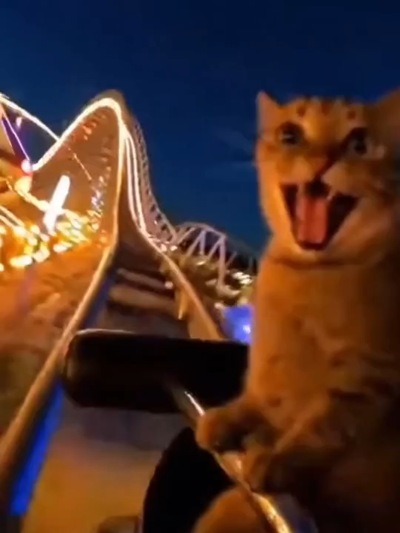 Roller Coaster cover