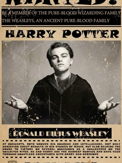 Wizard Wanted Poster cover